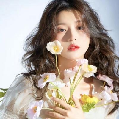 51区：中情局的机密文件